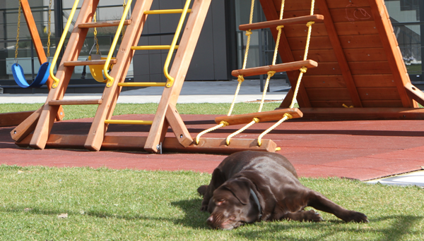 ukážka fotky pred objektom